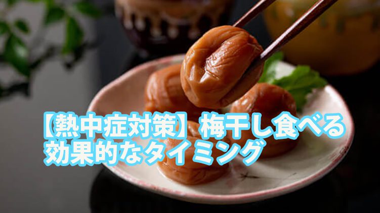 【熱中症対策】梅干しはいつ食べる?効果的なタイミングを徹底解説! 2 umeboshi